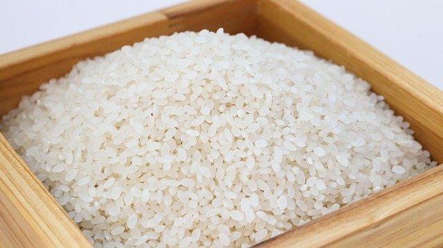distributor beras surabaya