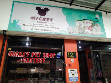 Mickey Pet Shop di Malang