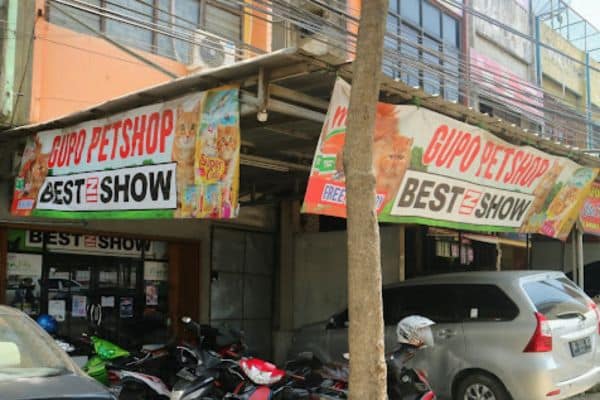 Pet Shop Palembang Gupo
